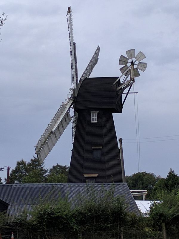 Stelling Minnis
