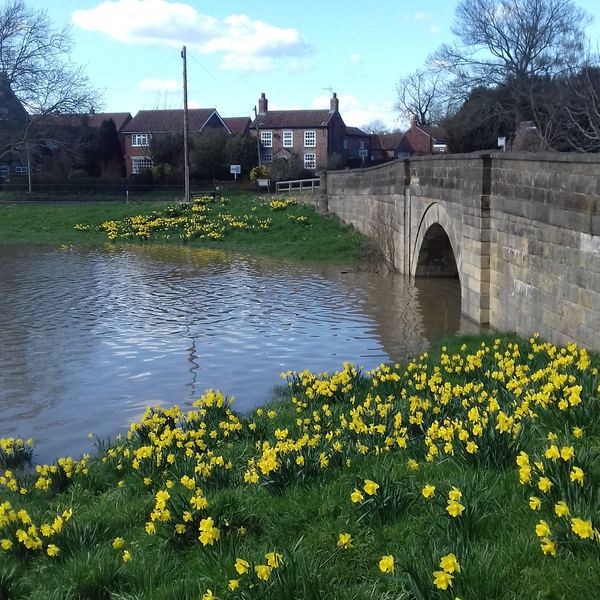 Stillingfleet