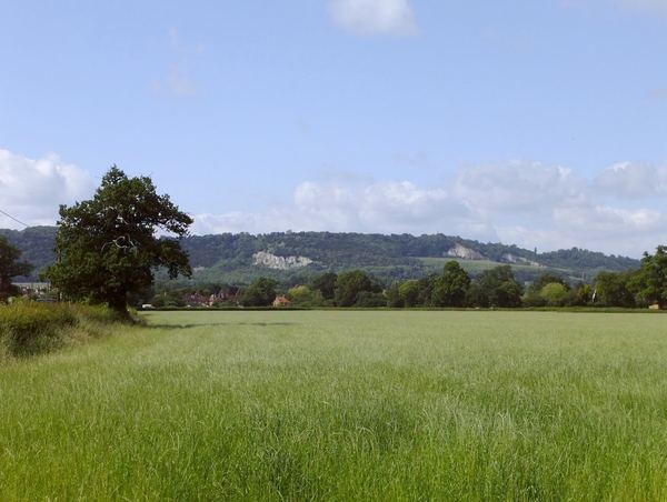Strood Green