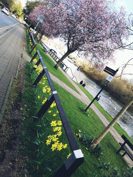 Sunbury