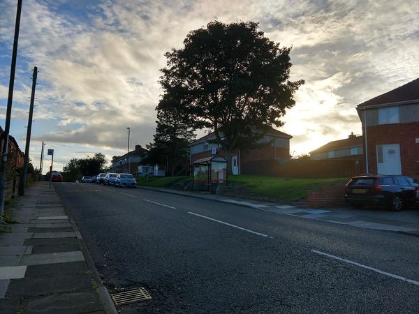SUNNISIDE