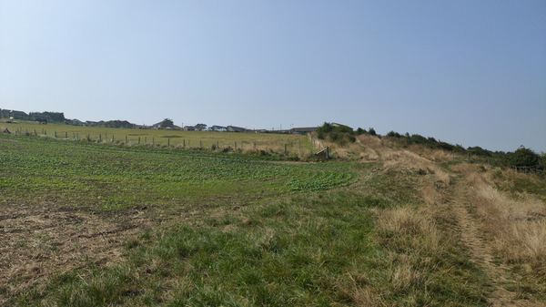 Swale