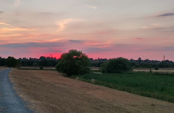 Swan Valley
