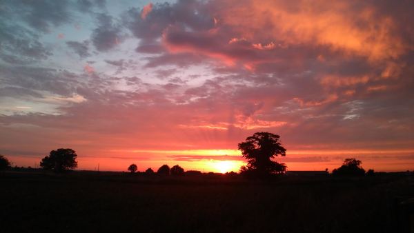 Swineshead