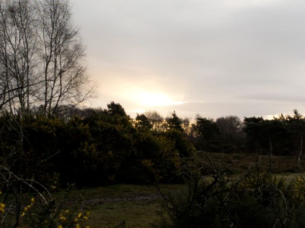 Tadley