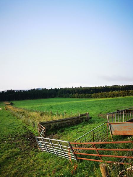 Tarland