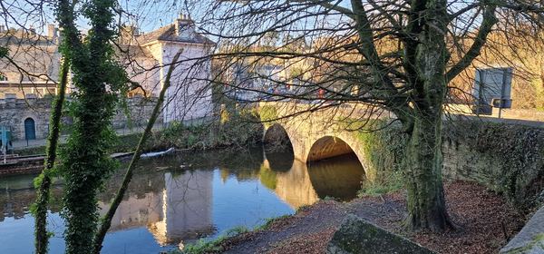 Tavistock
