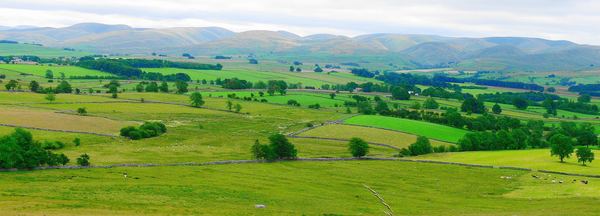 Tebay