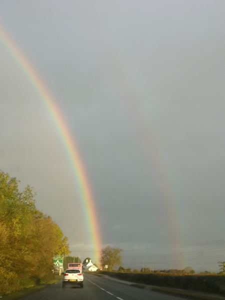 THINFORD