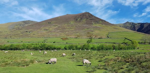 Threlkeld