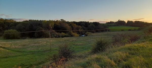 Tillicoultry