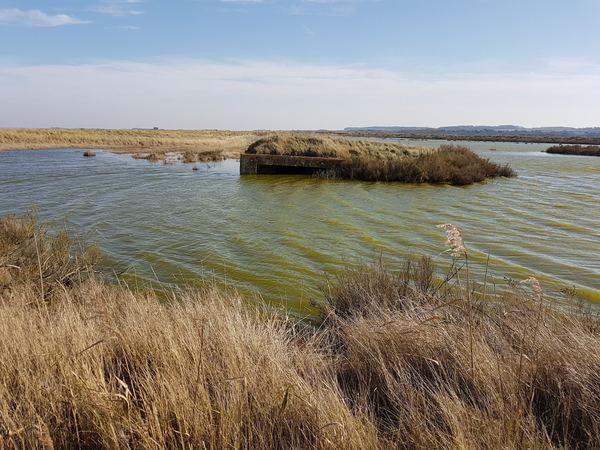 Titchwell