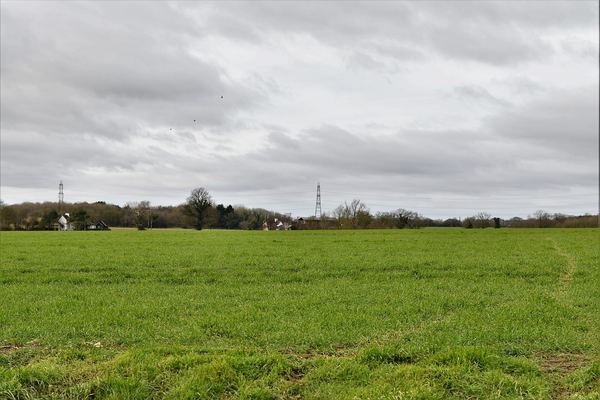 Tivetshall St Margaret