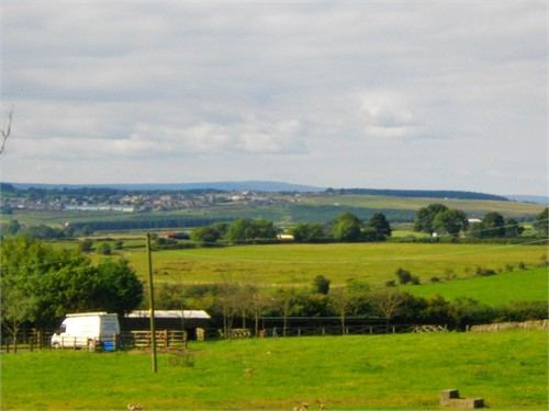 TOFT HILL