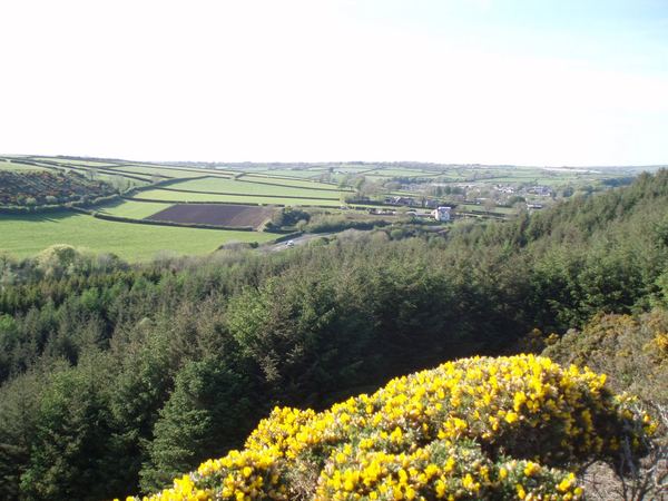 Treffgarne