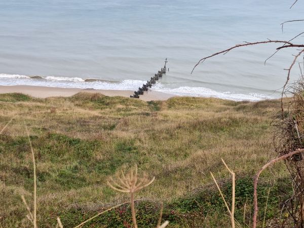 Trimingham