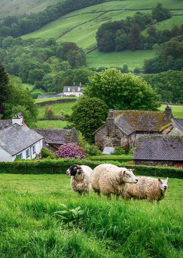 Troutbeck