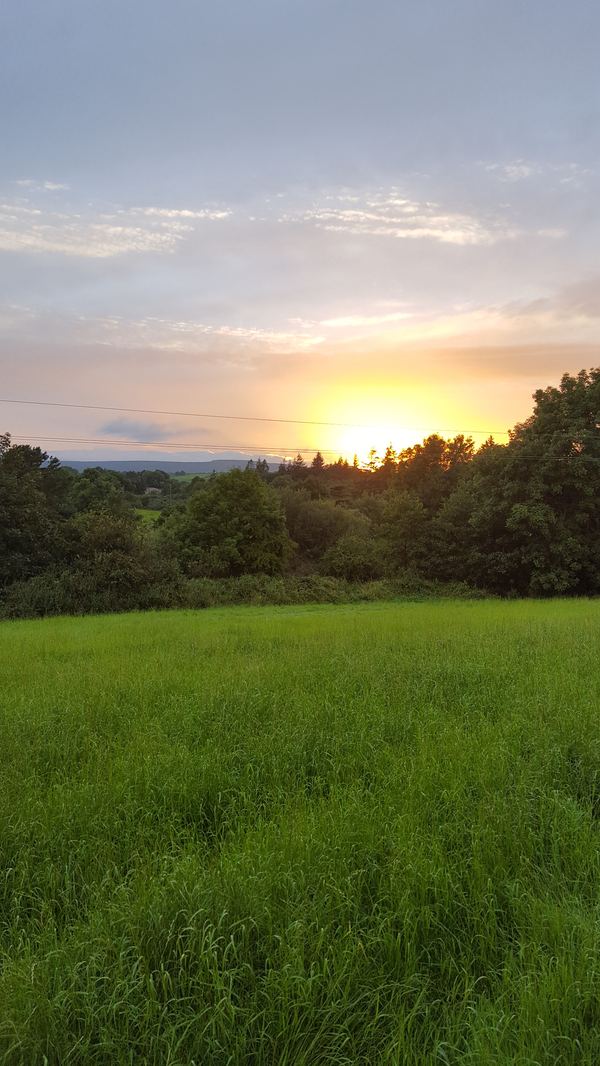 Upperlands