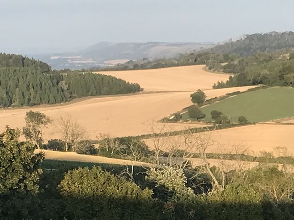 Upwaltham