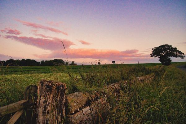 USHAW MOOR