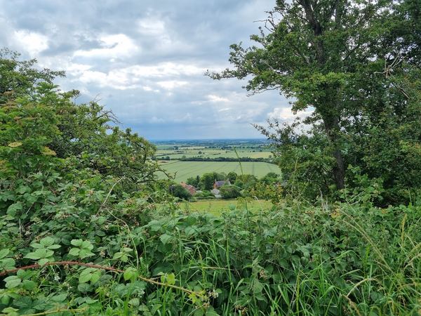 Waddington