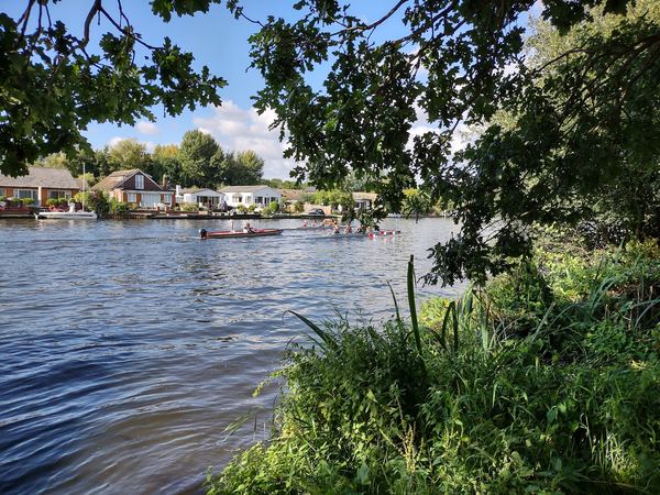 Walton-on-Thames