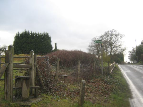 Warehorne