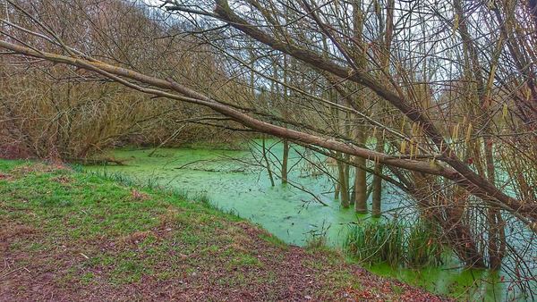 Warmley