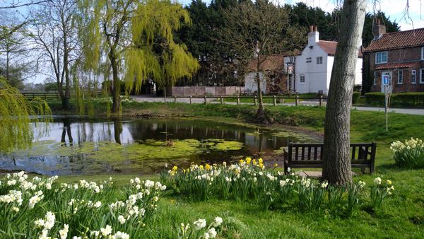 Warthill
