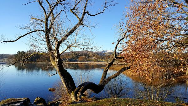 Waterhead
