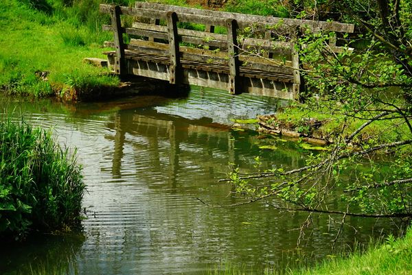 WATERHOUSES