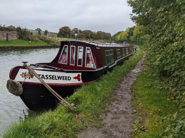 Weedon