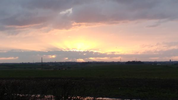 Weeton