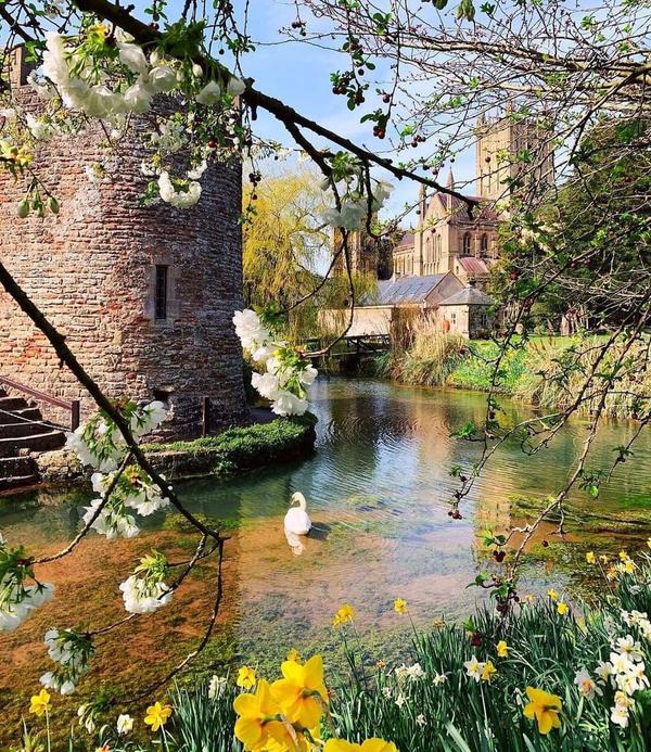 Wells, Somerset