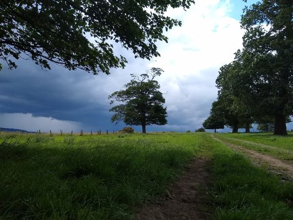 West Bretton