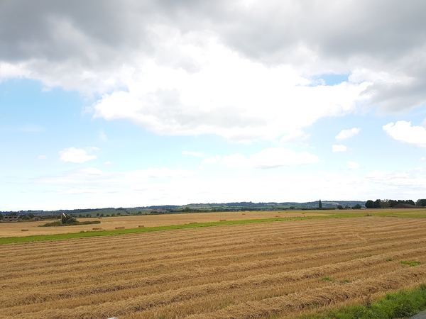 Westonzoyland