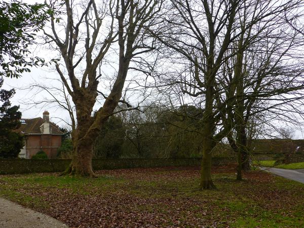 Westwell