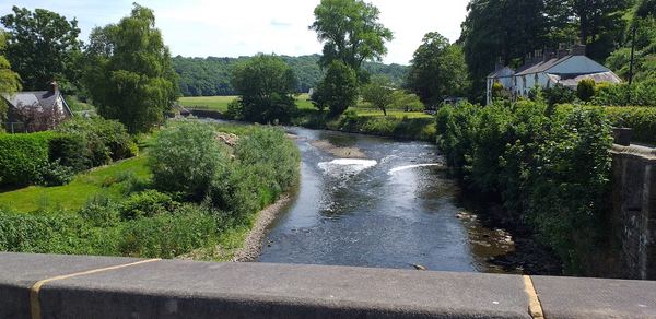 Whalley