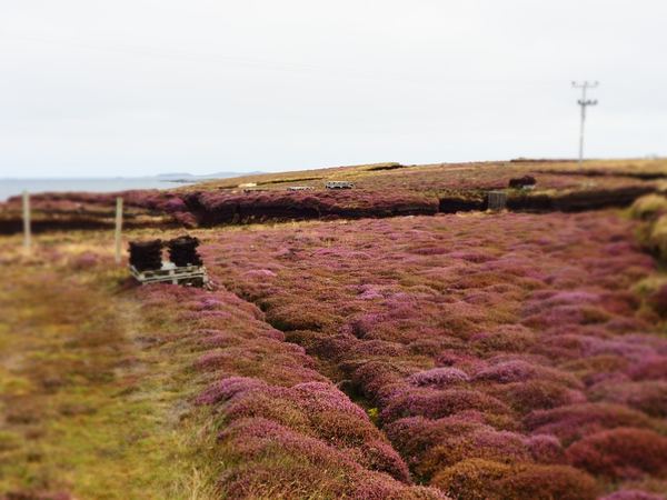 Whalsay