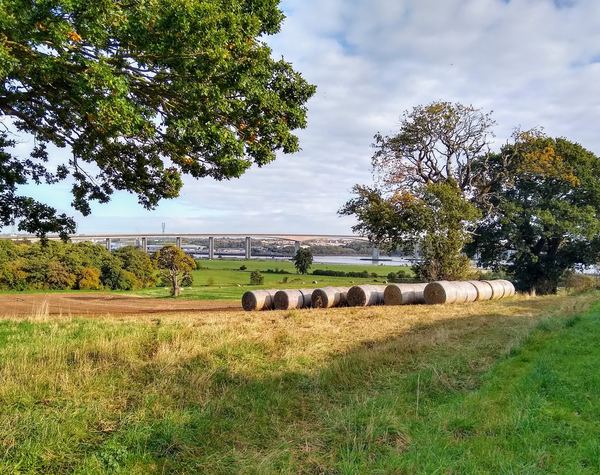 Wherstead