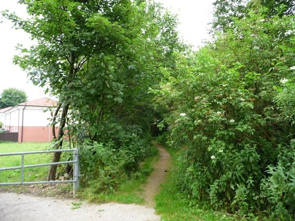 Whinmoor