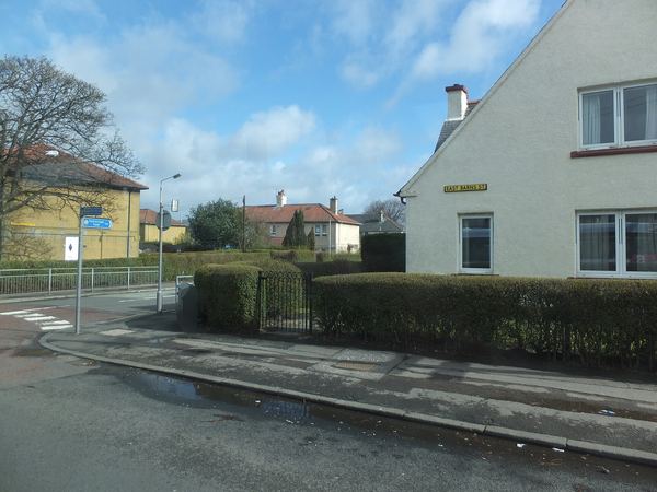 Whitecrook