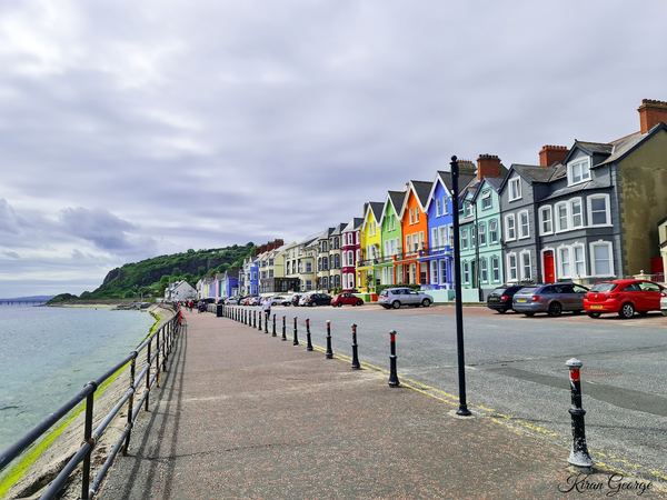 Whitehead