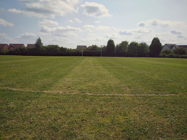 Whitwood
