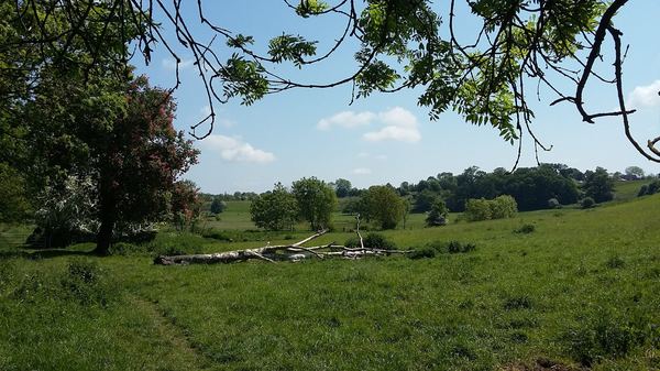 Widford