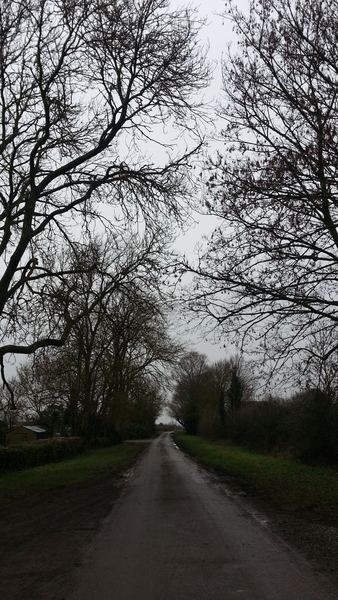 Willingham