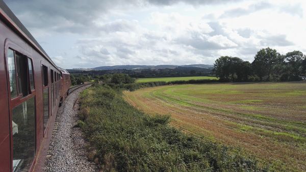 Williton