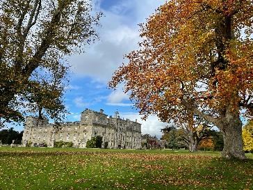 Wilton