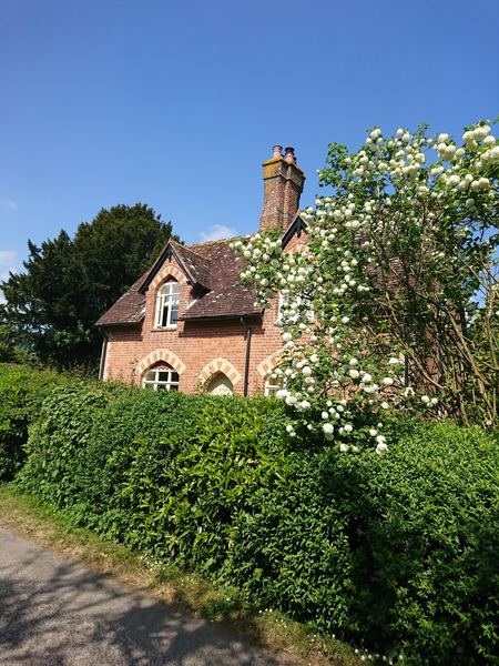 Wimborne St Giles