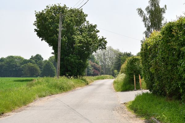 Wingfield
